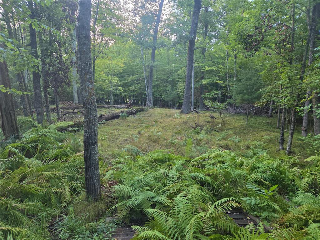 TBD 484th Street Shamrock Twp MN 55760 6786401 image4