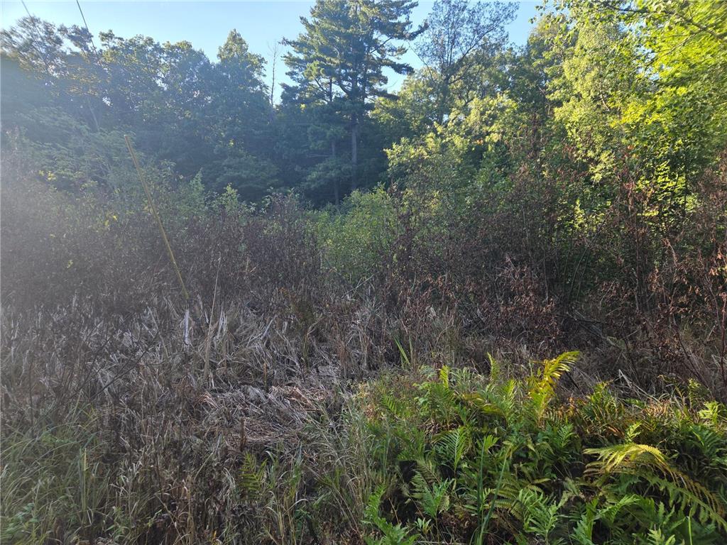 TBD 484th Street Shamrock Twp MN 55760 6786401 image7