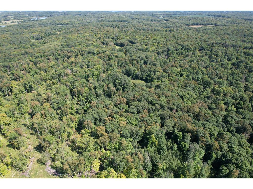 TBD 485th Street Vergas MN 56587 6805740 image1