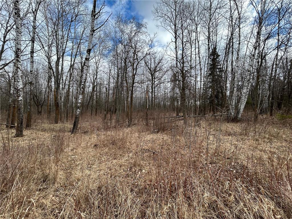 TBD 48th Ave Pine River MN 56474 6702738 image1