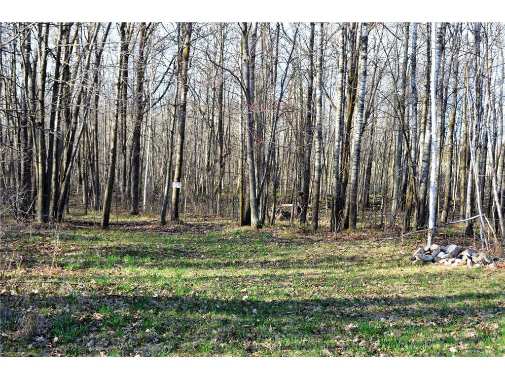 TBD 48th Street SW Pequot Lakes MN 56472 6371225 image1