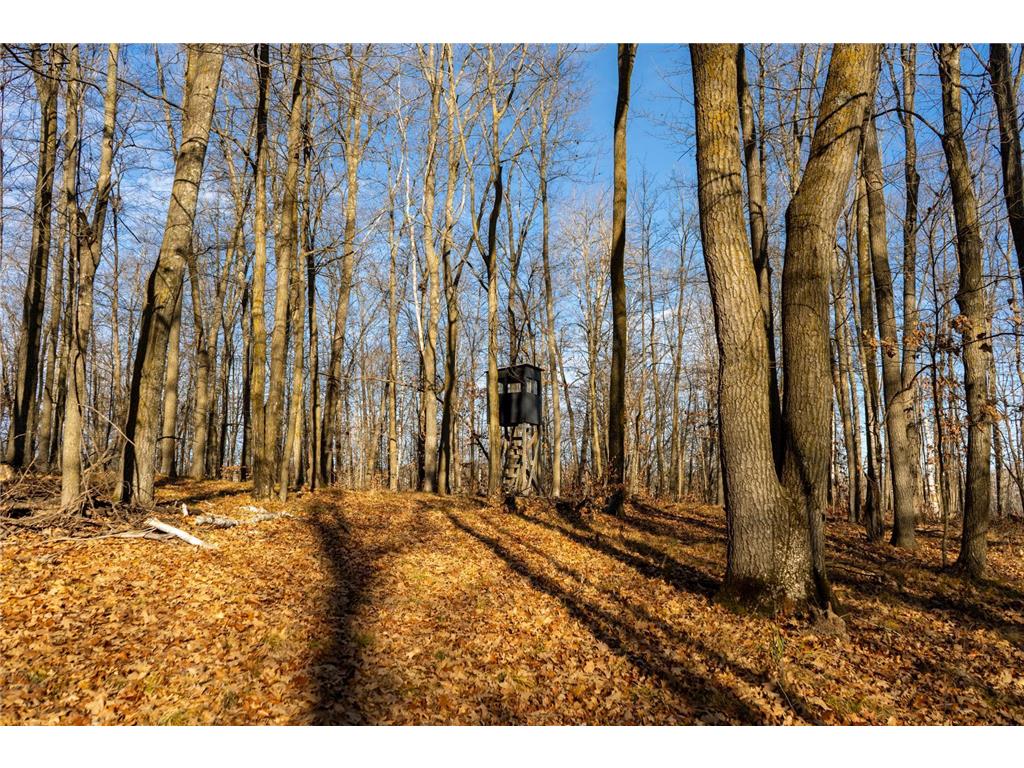 TBD 48th Street SW Pine River MN 56474 6817466 image1