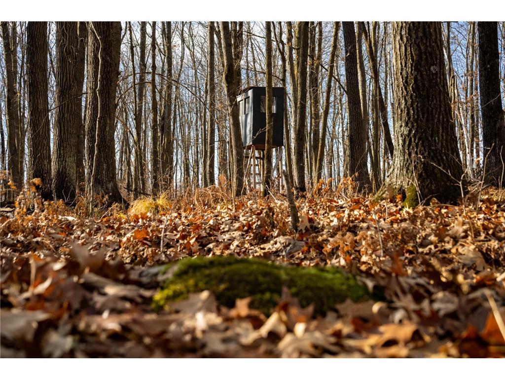 TBD 48th Street SW Pine River MN 56474 6817466 image12