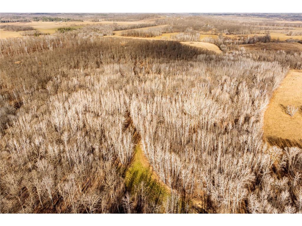 TBD 48th Street SW Pine River MN 56474 6817466 image13
