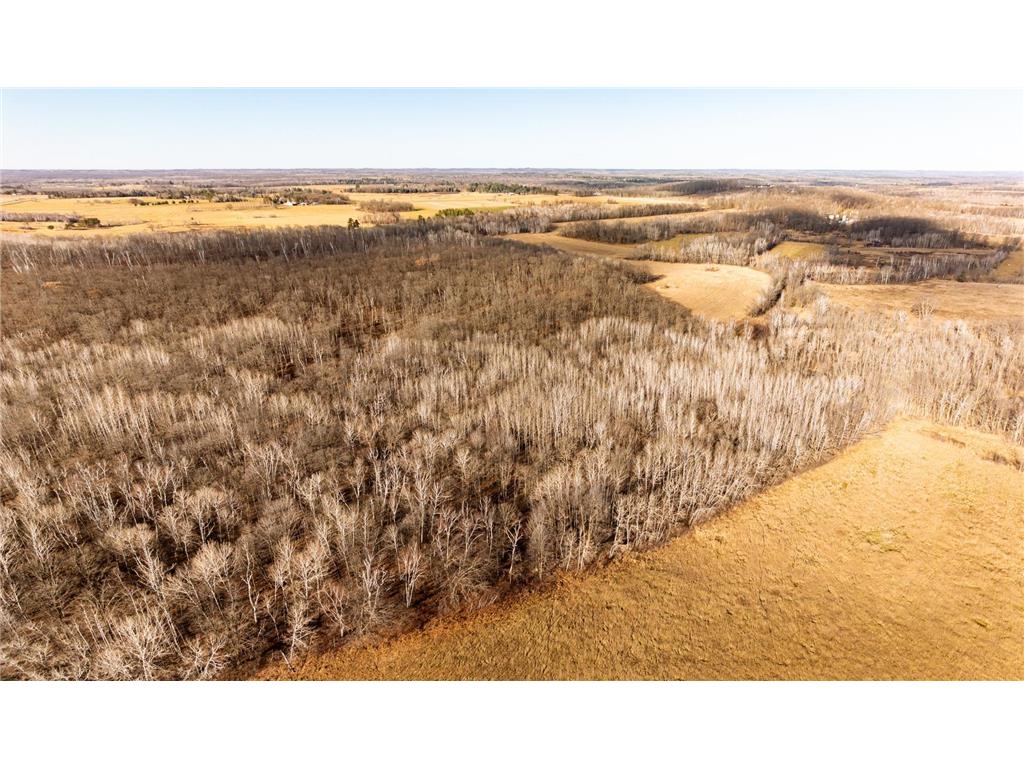 TBD 48th Street SW Pine River MN 56474 6817466 image17