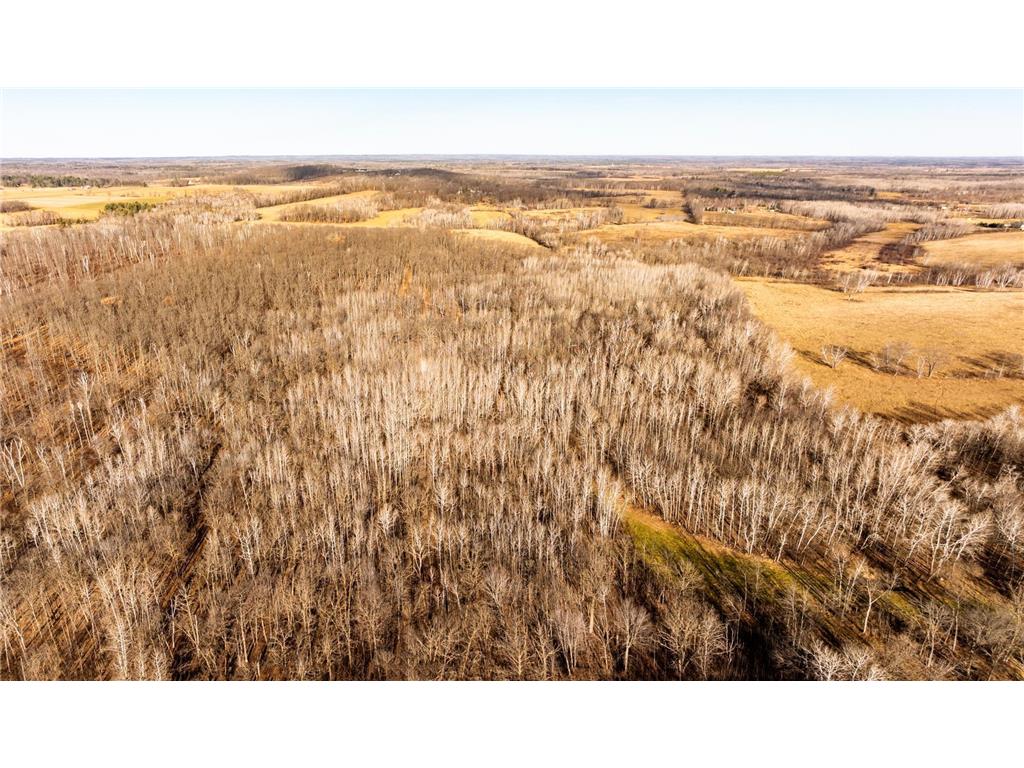 TBD 48th Street SW Pine River MN 56474 6817466 image18