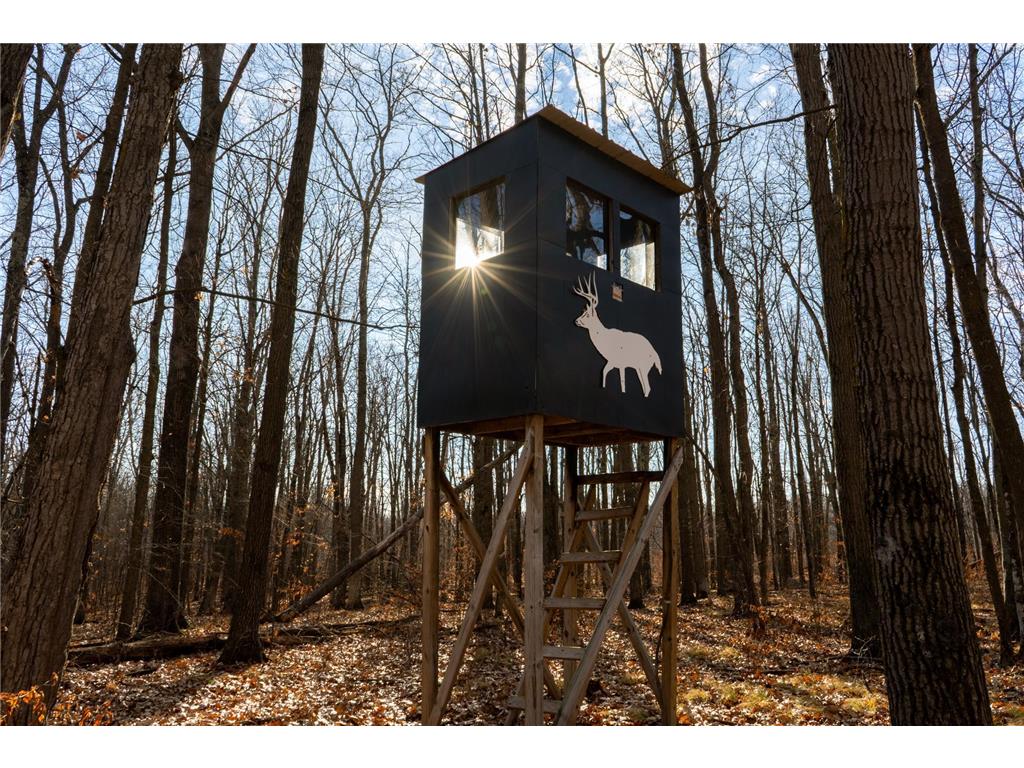 TBD 48th Street SW Pine River MN 56474 6817466 image2