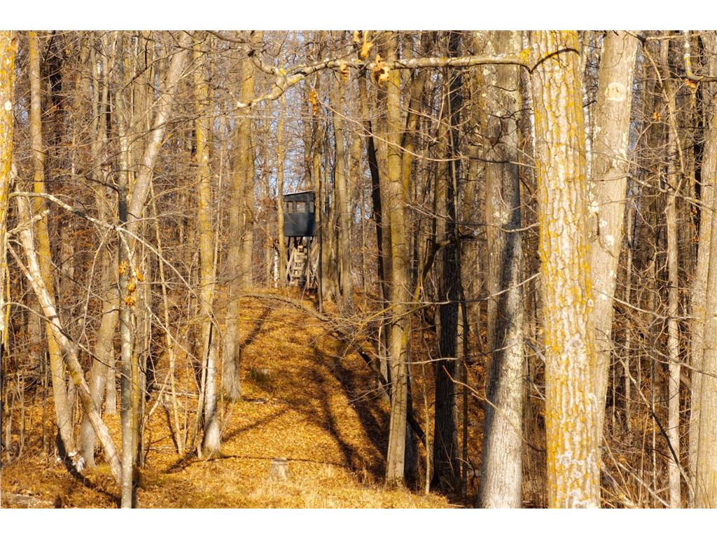 TBD 48th Street SW Pine River MN 56474 6817466 image21