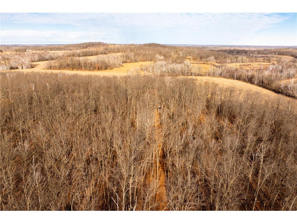 TBD 48th Street SW Pine River MN 56474 6817466 image22