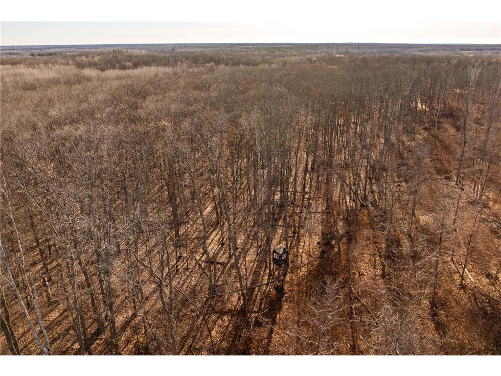 TBD 48th Street SW Pine River MN 56474 6817466 image25