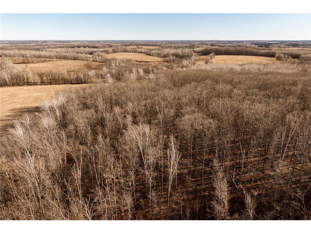 TBD 48th Street SW Pine River MN 56474 6817466 image26