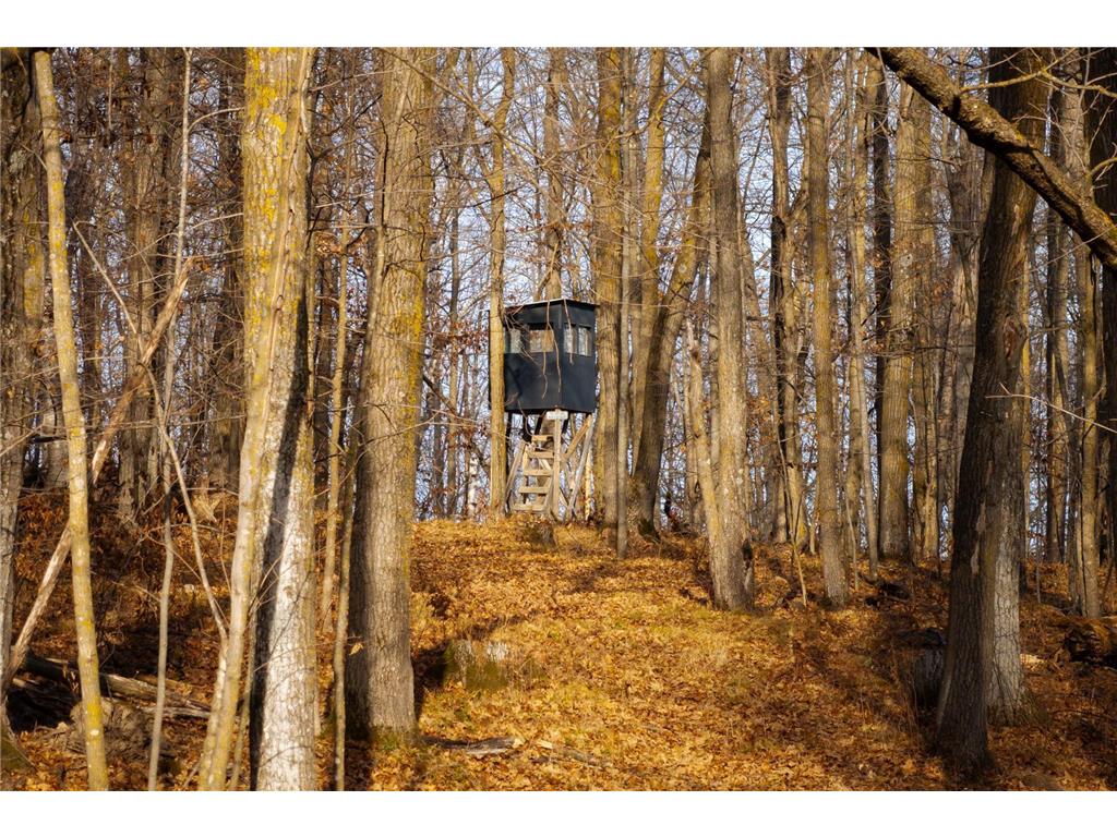 TBD 48th Street SW Pine River MN 56474 6817466 image28