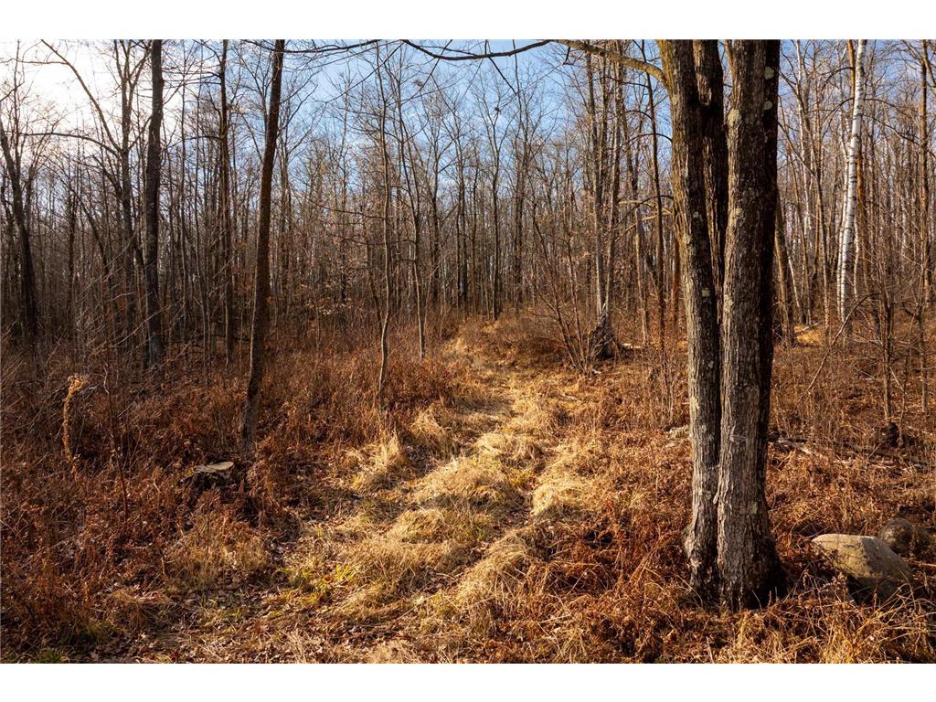 TBD 48th Street SW Pine River MN 56474 6817466 image29