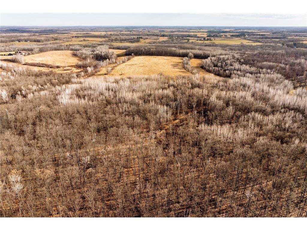 TBD 48th Street SW Pine River MN 56474 6817466 image3