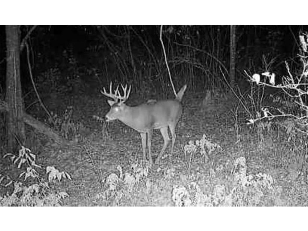 TBD 48th Street SW Pine River MN 56474 6817466 image31