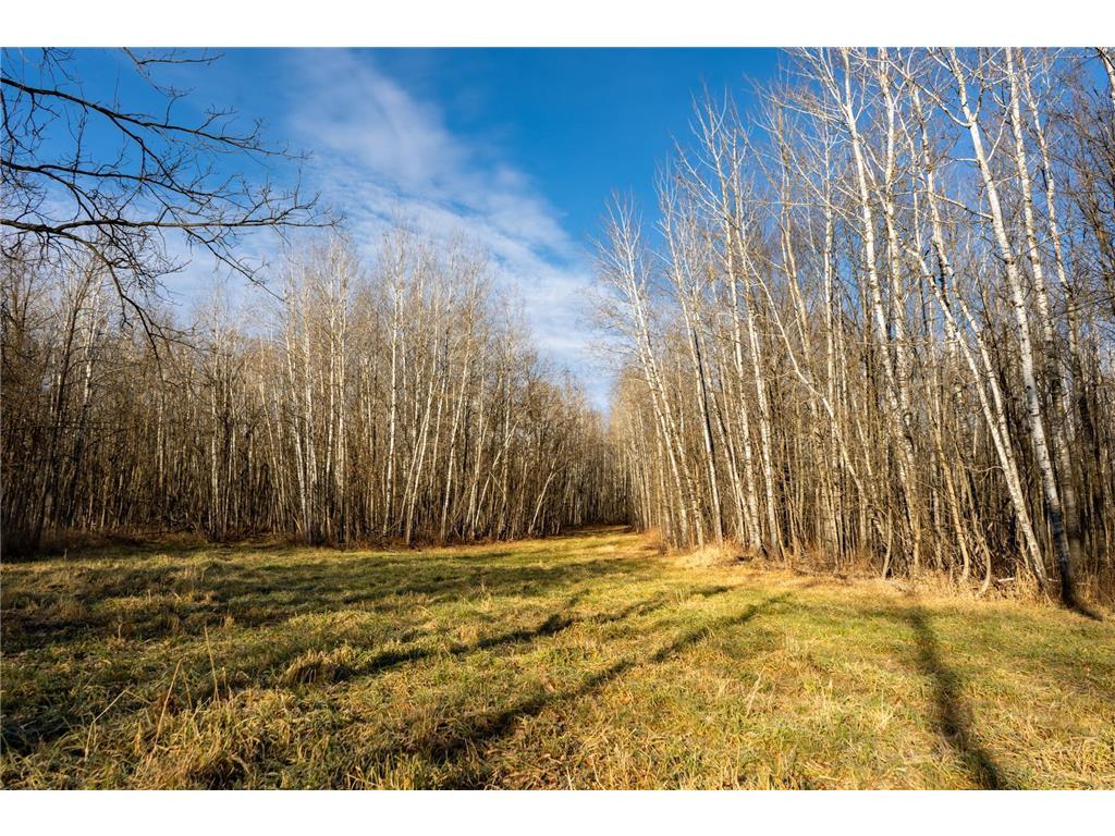 TBD 48th Street SW Pine River MN 56474 6817466 image4