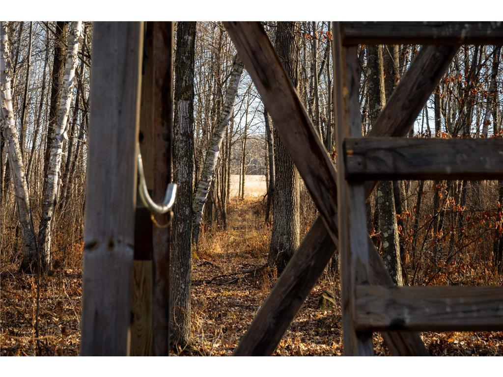 TBD 48th Street SW Pine River MN 56474 6817466 image6