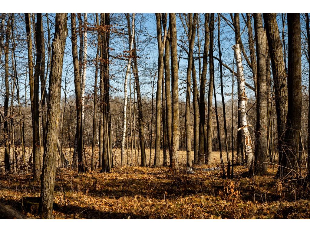 TBD 48th Street SW Pine River MN 56474 6817466 image7