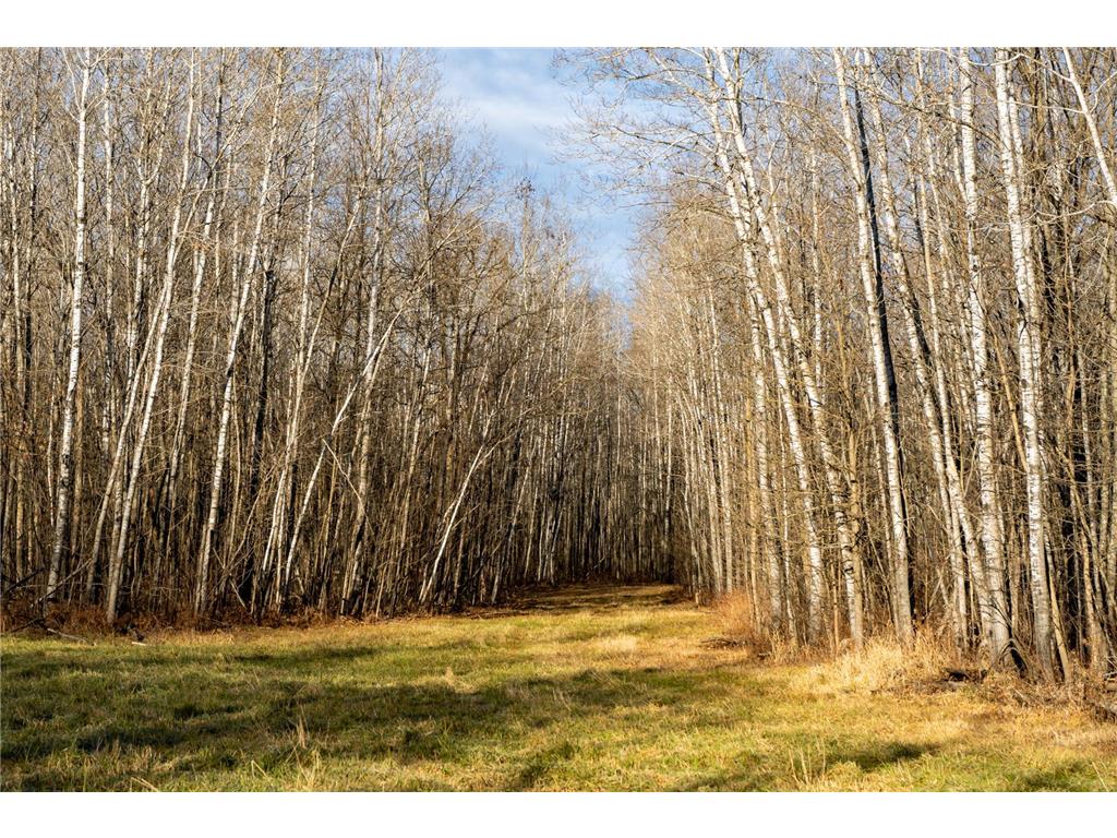 TBD 48th Street SW Pine River MN 56474 6817466 image8