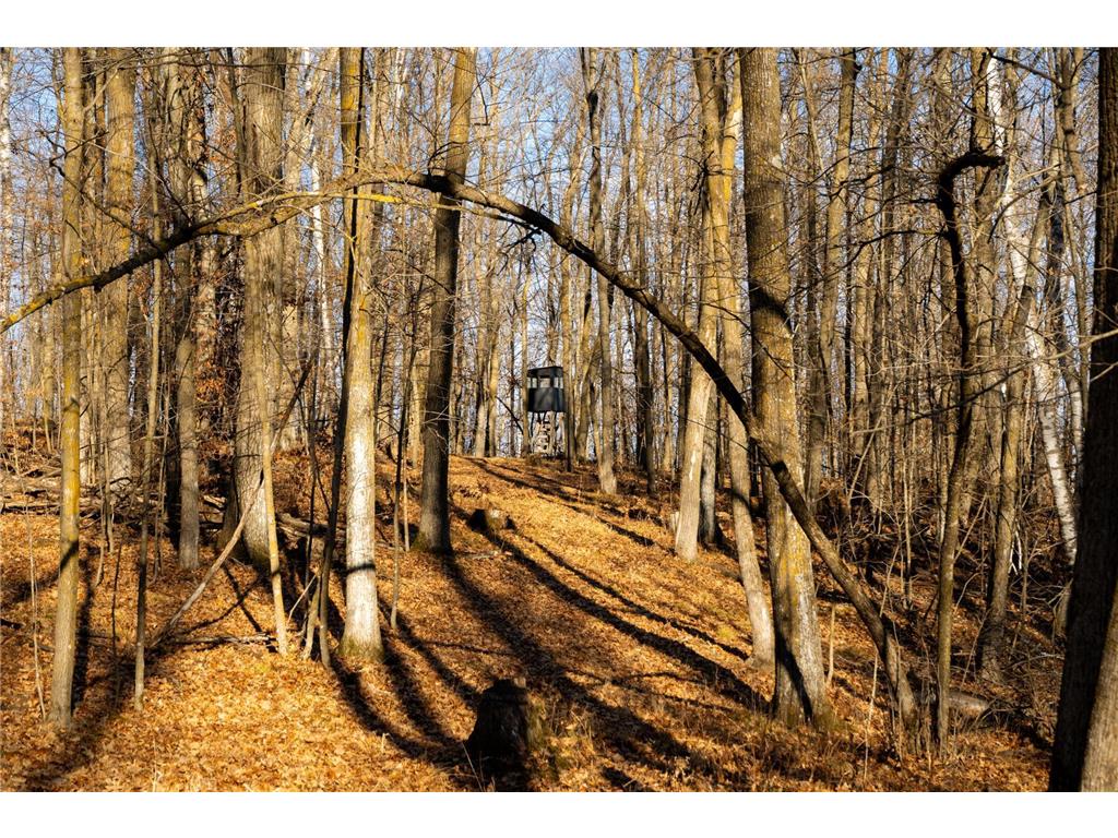 TBD 48th Street SW Pine River MN 56474 6817466 image9