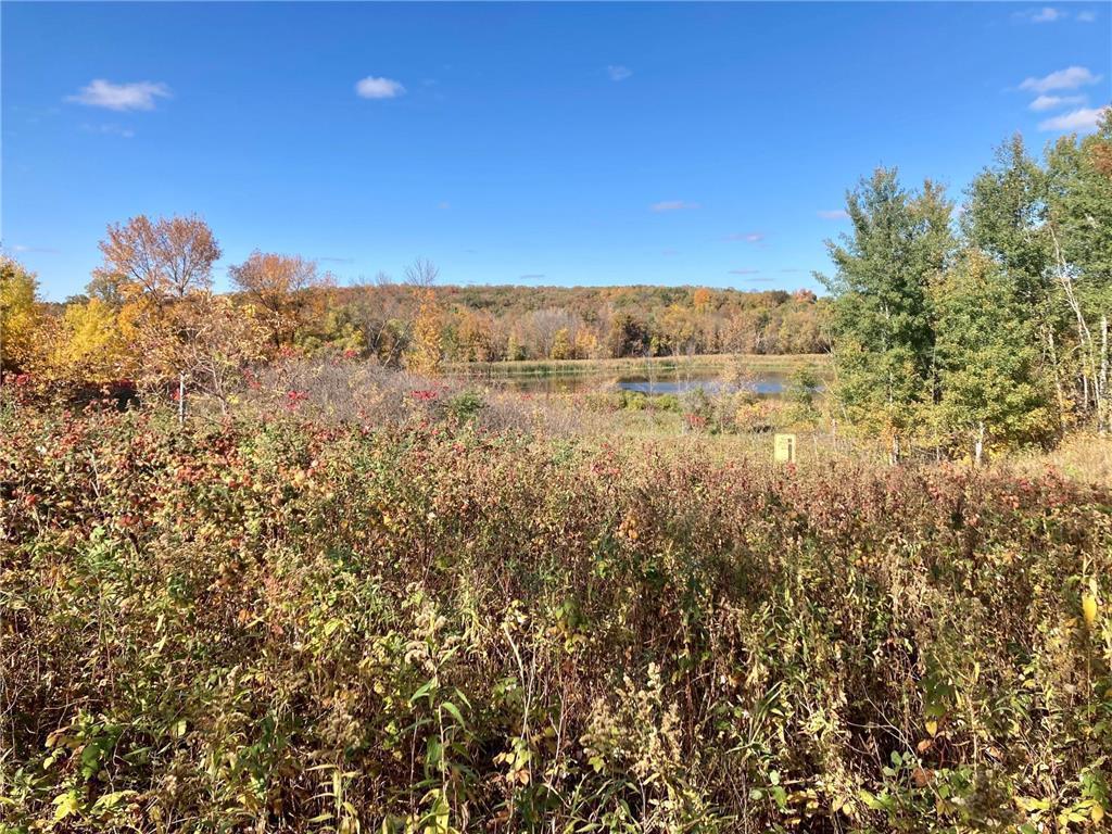 TBD 493rd Avenue Otto Twp MN 56567 - Rush Lake 7033291 image4
