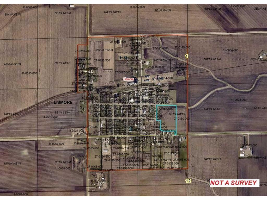 TBD 4TH ST. Lismore MN 56155 7048486 image2