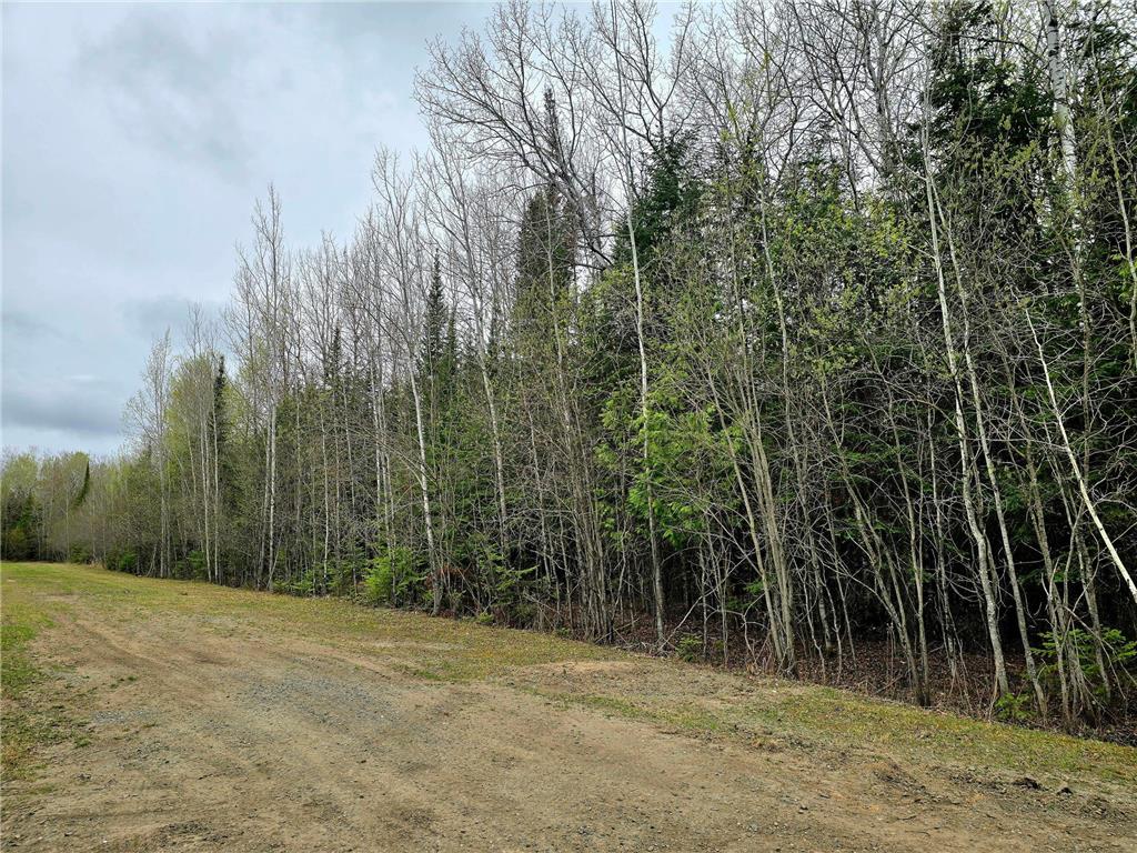TBD 4th Avenue 22nd Street W International Falls MN 56649 7044777 image2