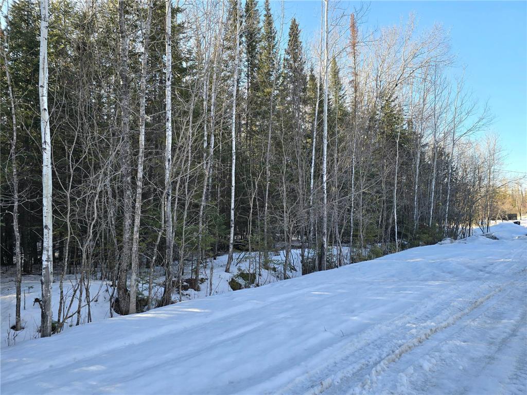 TBD 4th Avenue 22nd Street W International Falls MN 56649 7044777 image3