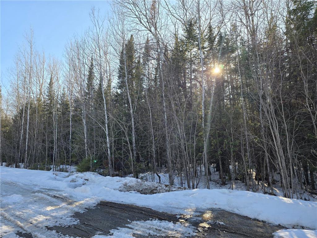 TBD 4th Avenue 22nd Street W International Falls MN 56649 7044777 image4