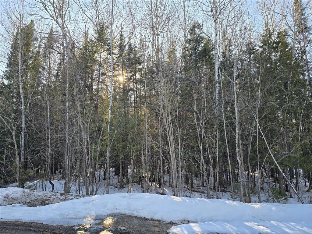 TBD 4th Avenue 22nd Street W International Falls MN 56649 7044777 image5