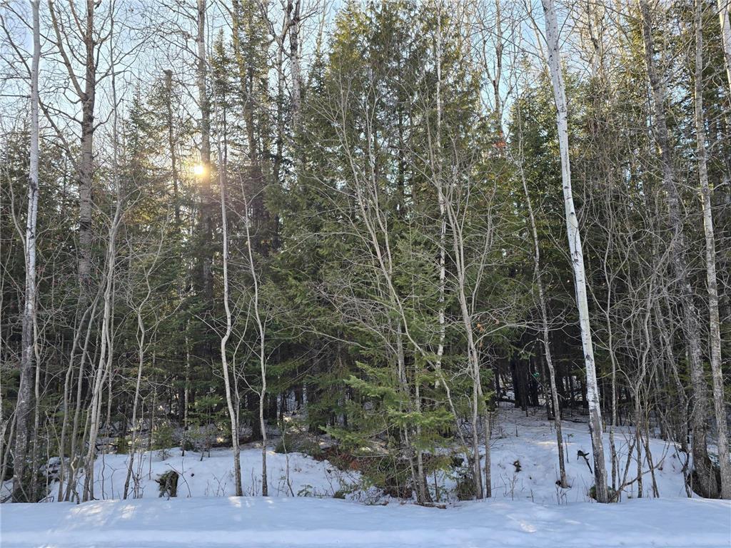 TBD 4th Avenue 22nd Street W International Falls MN 56649 7044777 image6