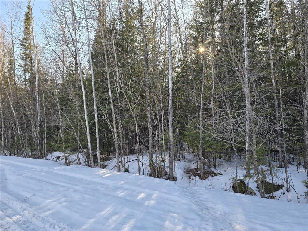 TBD 4th Avenue 22nd Street W International Falls MN 56649 7044777 image7