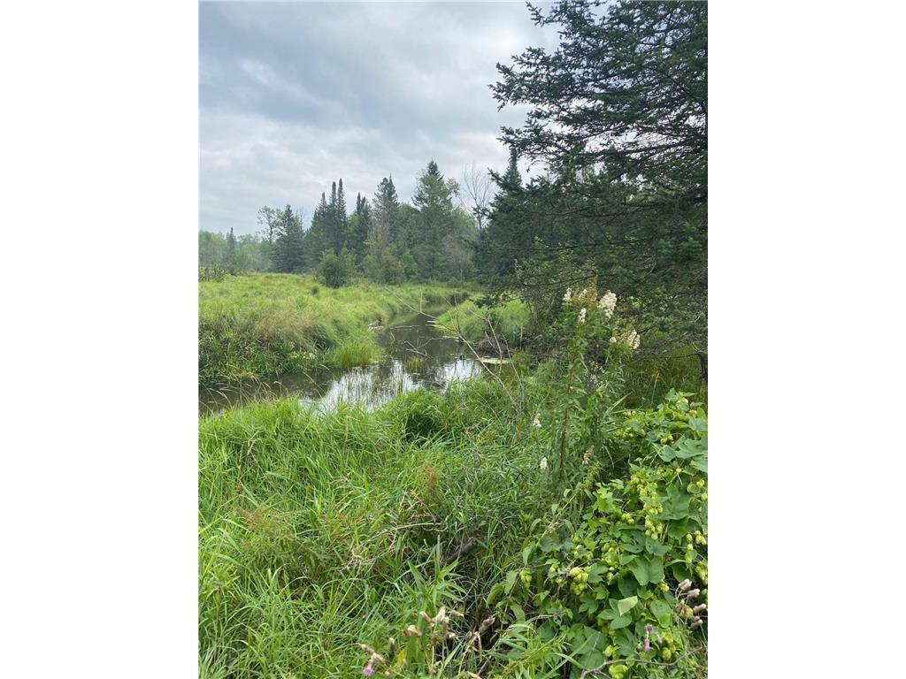 TBD 507th St, Tamarack, MN, 55787 MLS 6151061 Edina Realty