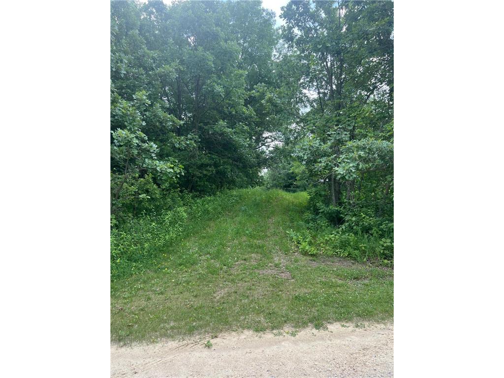 TBD 50th Street W Webster Twp MN 55088 7095809 image1