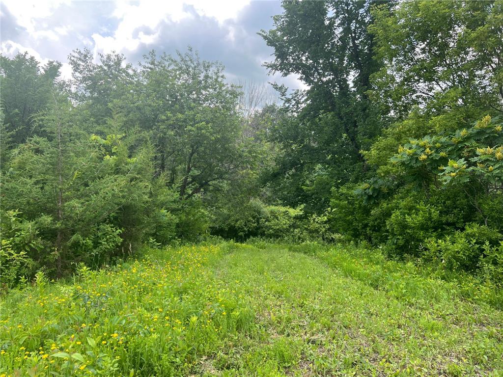 TBD 50th Street W Webster Twp MN 55088 7095809 image10