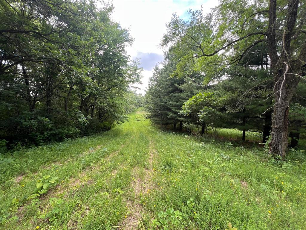 TBD 50th Street W Webster Twp MN 55088 7095809 image11