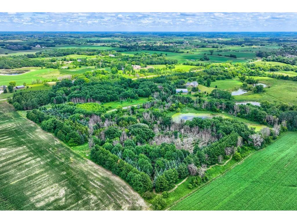 TBD 50th Street W Webster Twp MN 55088 7095809 image16