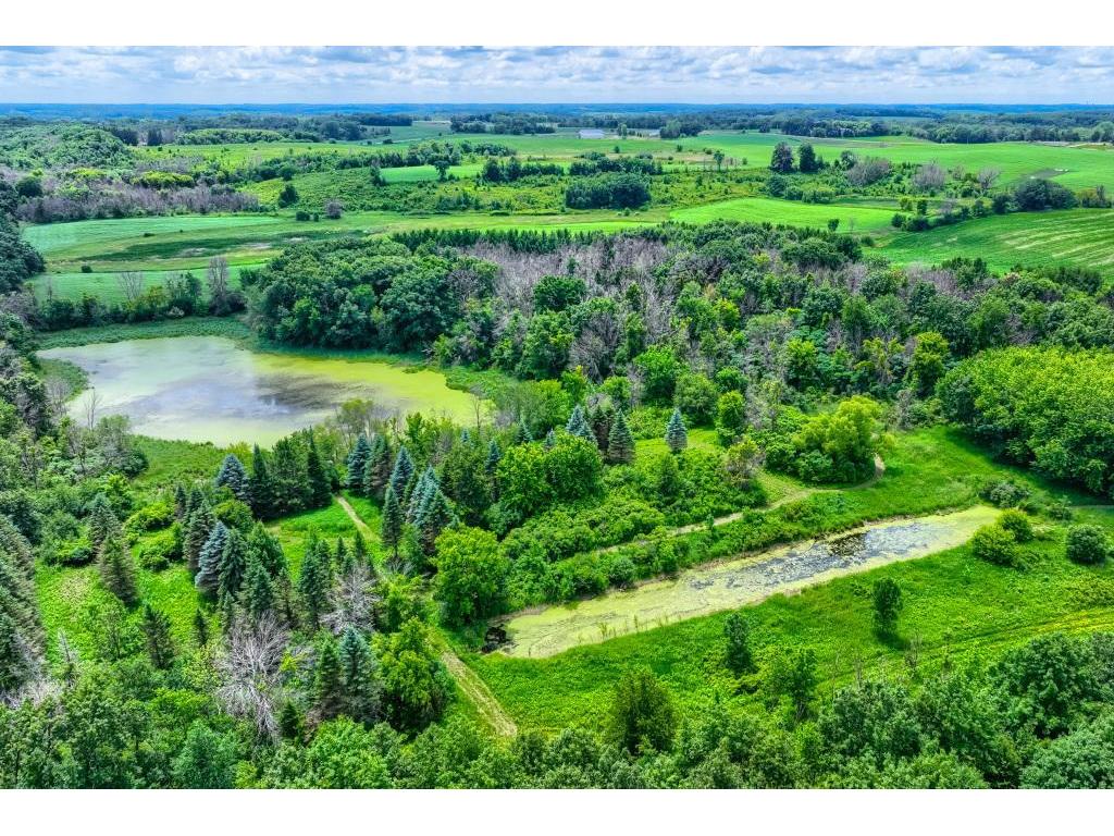 TBD 50th Street W Webster Twp MN 55088 7095809 image19
