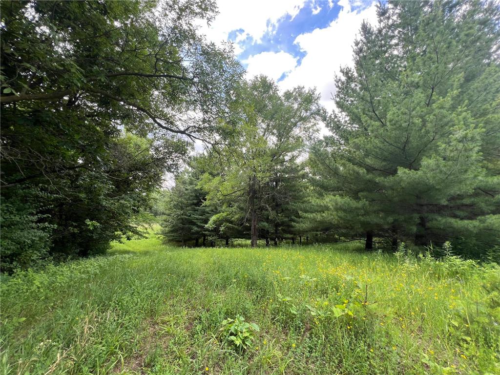 TBD 50th Street W Webster Twp MN 55088 7095809 image2