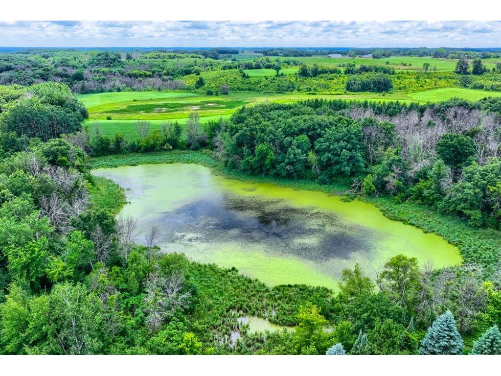 TBD 50th Street W Webster Twp MN 55088 7095809 image20