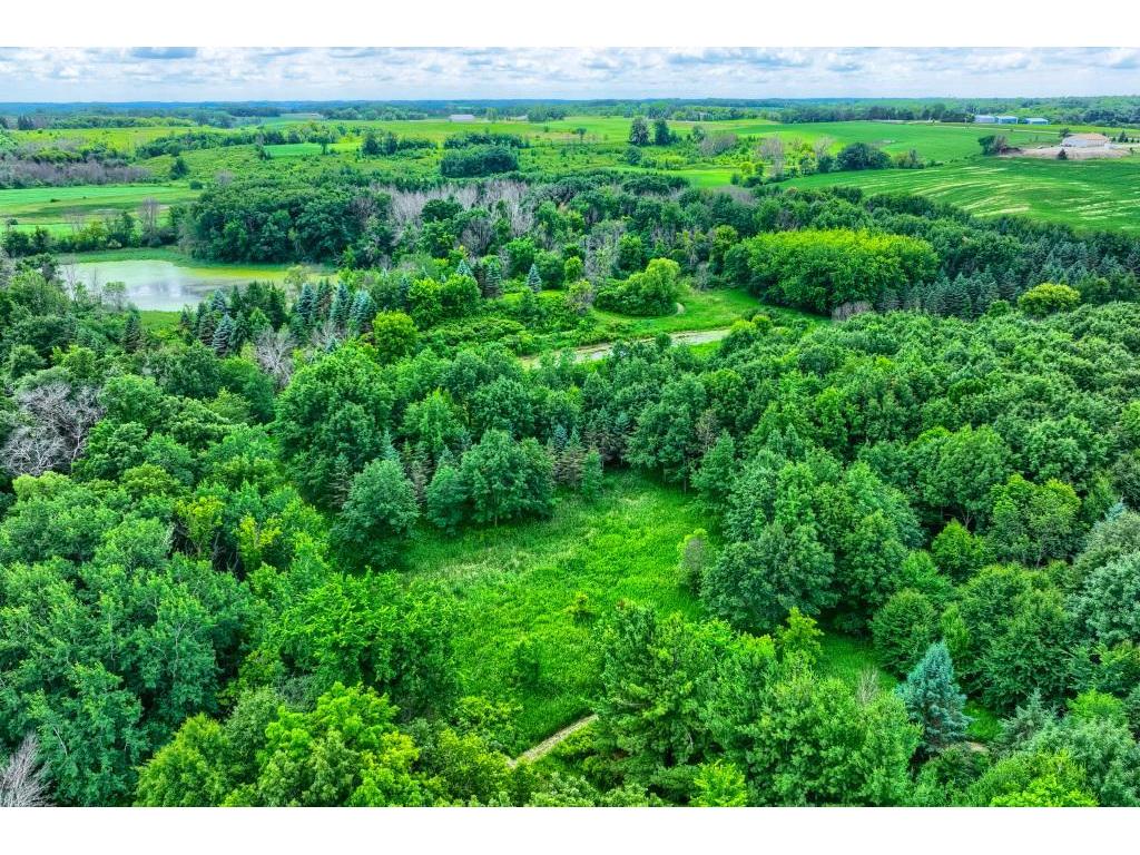 TBD 50th Street W Webster Twp MN 55088 7095809 image21