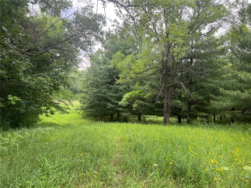 TBD 50th Street W Webster Twp MN 55088 7095809 image3