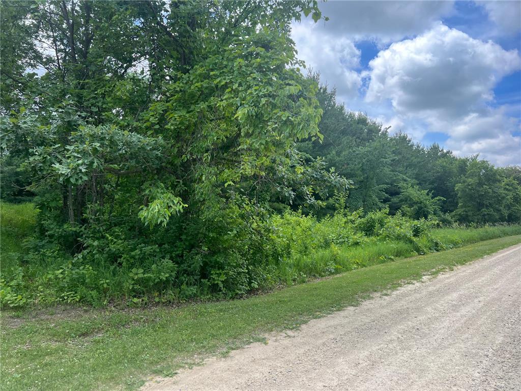 TBD 50th Street W Webster Twp MN 55088 7095809 image4