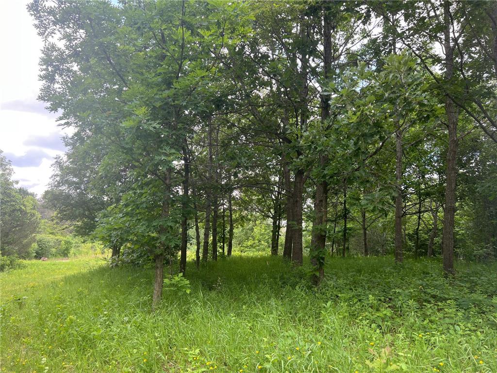 TBD 50th Street W Webster Twp MN 55088 7095809 image5