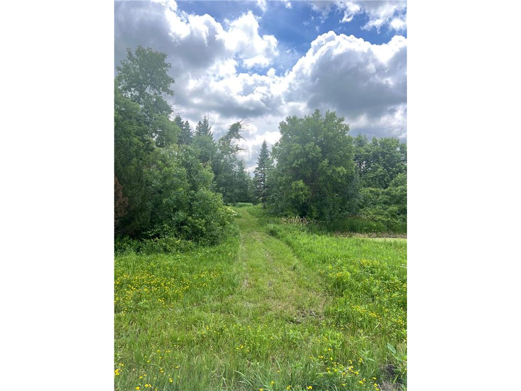 TBD 50th Street W Webster Twp MN 55088 7095809 image6