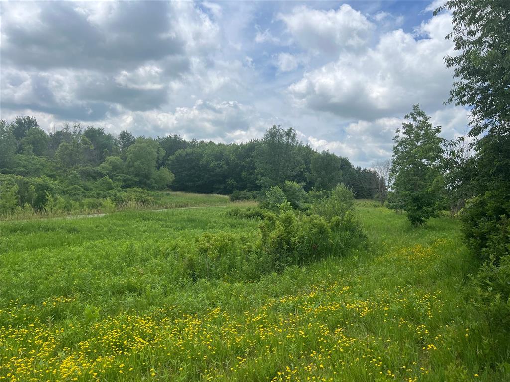 TBD 50th Street W Webster Twp MN 55088 7095809 image7
