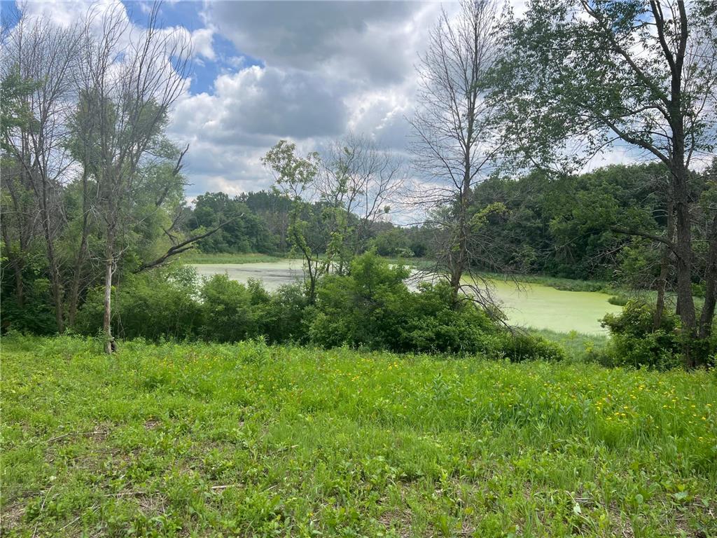 TBD 50th Street W Webster Twp MN 55088 7095809 image8