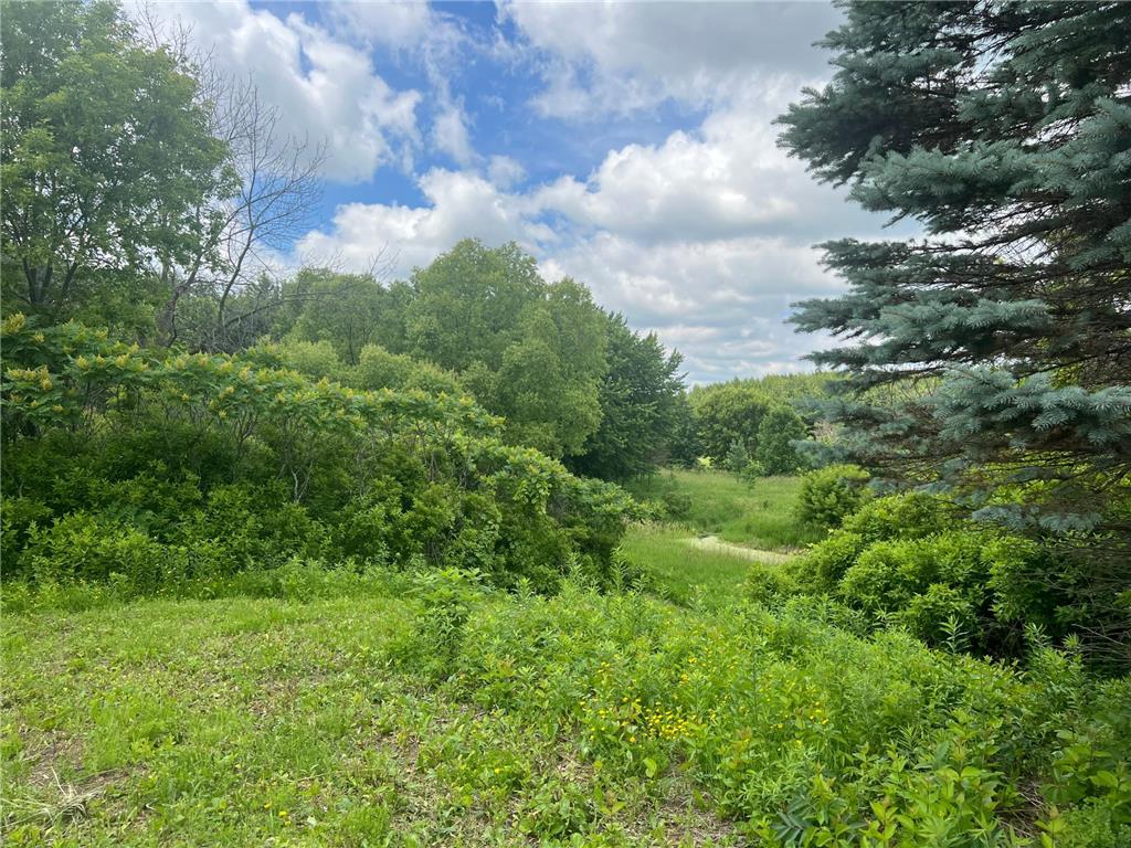 TBD 50th Street W Webster Twp MN 55088 7095809 image9