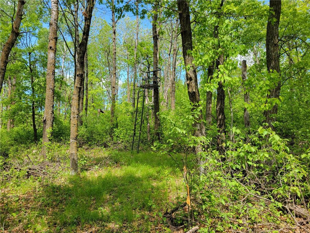 TBD 510 ave Henning Twp MN 56551 6772485 image1