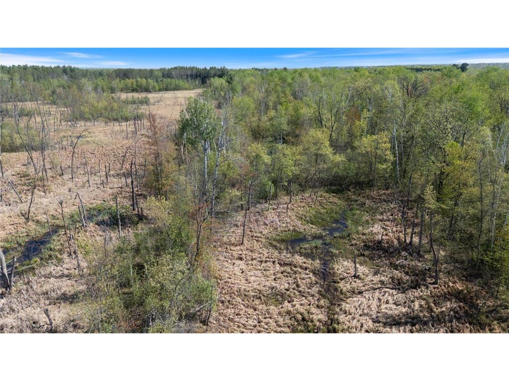 TBD 517th Street Rushseba Twp MN 55069 6718828 image16